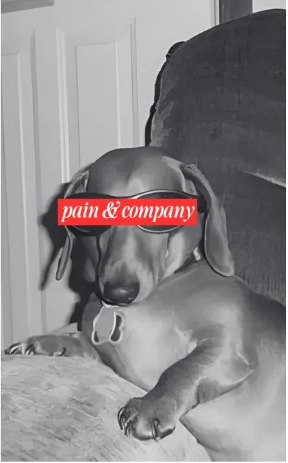 Pain & Company — picture 1
